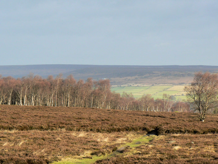 Beeley Moor Beeley Moor